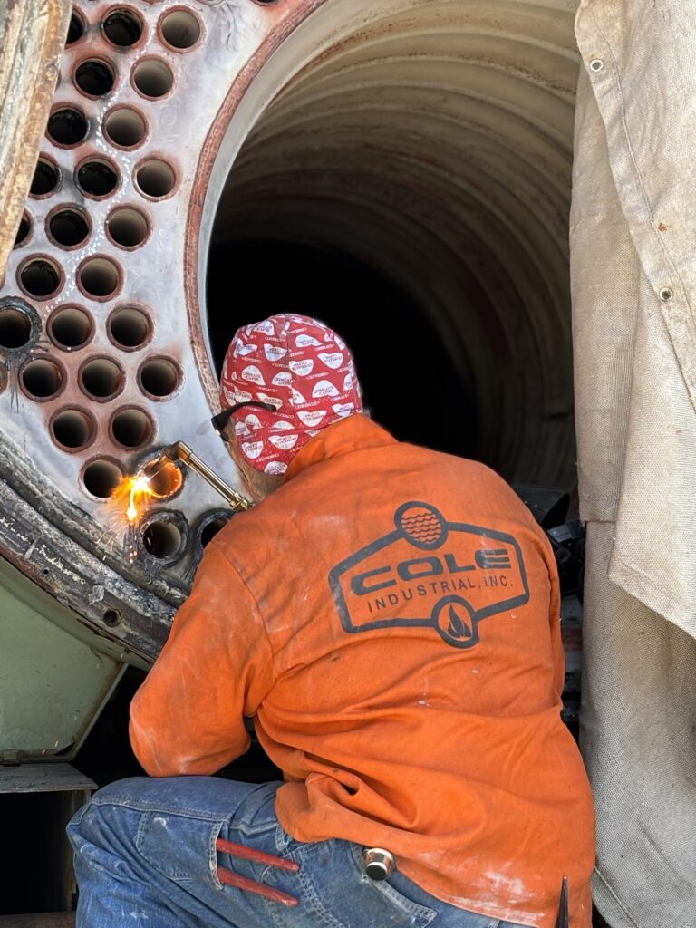 IMG 1010