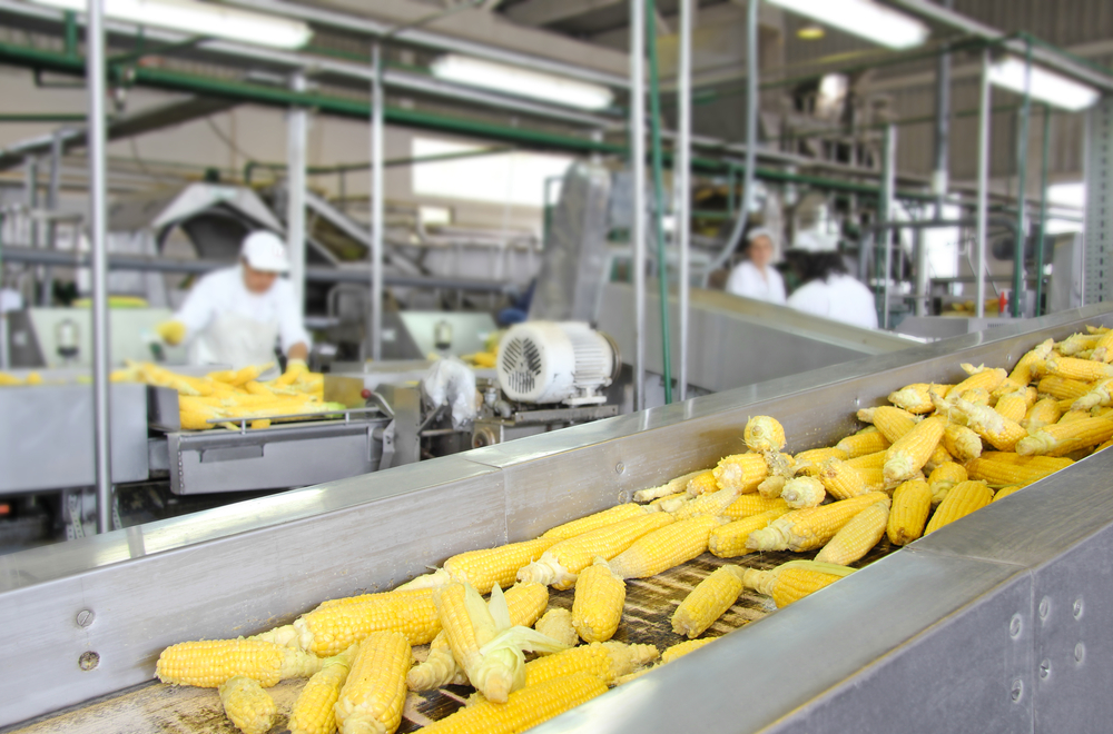 food processing plant